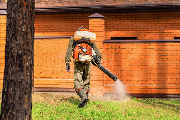 Trusted Emergency Pest Control service in Manitou Springs, CO - Nex Pest Control